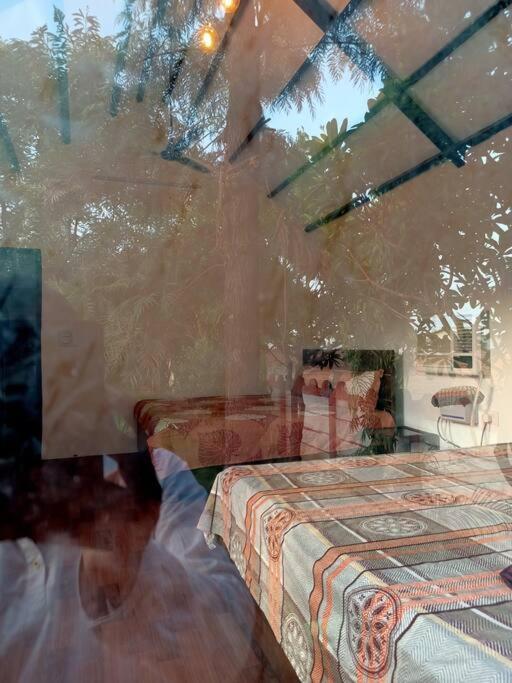 Achal Farm जंगल में मंगल Villa Gurgaon Eksteriør billede