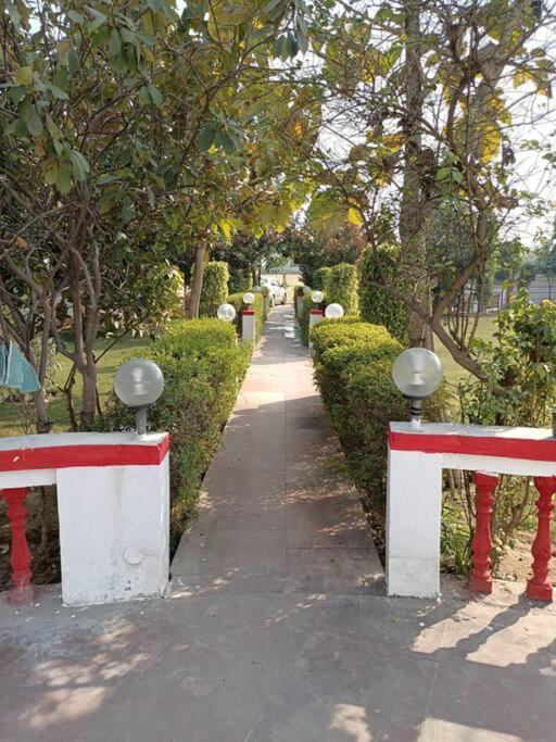 Achal Farm जंगल में मंगल Villa Gurgaon Eksteriør billede