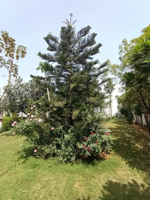 Achal Farm जंगल में मंगल Villa Gurgaon Eksteriør billede