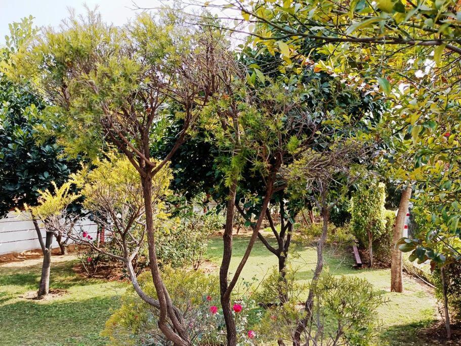 Achal Farm जंगल में मंगल Villa Gurgaon Eksteriør billede